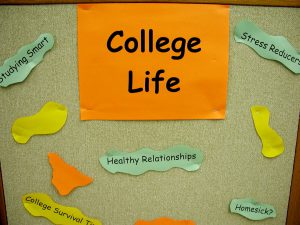 Read more about the article Things You Wish You Had in College