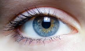 Read more about the article How to prevent cataract