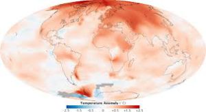 Read more about the article Fighting For the Climate Change – Fighting the good fight