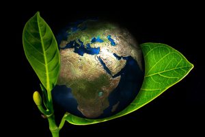 Read more about the article A Guide To Turning Your Business Eco-Friendly