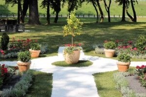 Read more about the article Smart Arrangement Ideas for Small Gardens