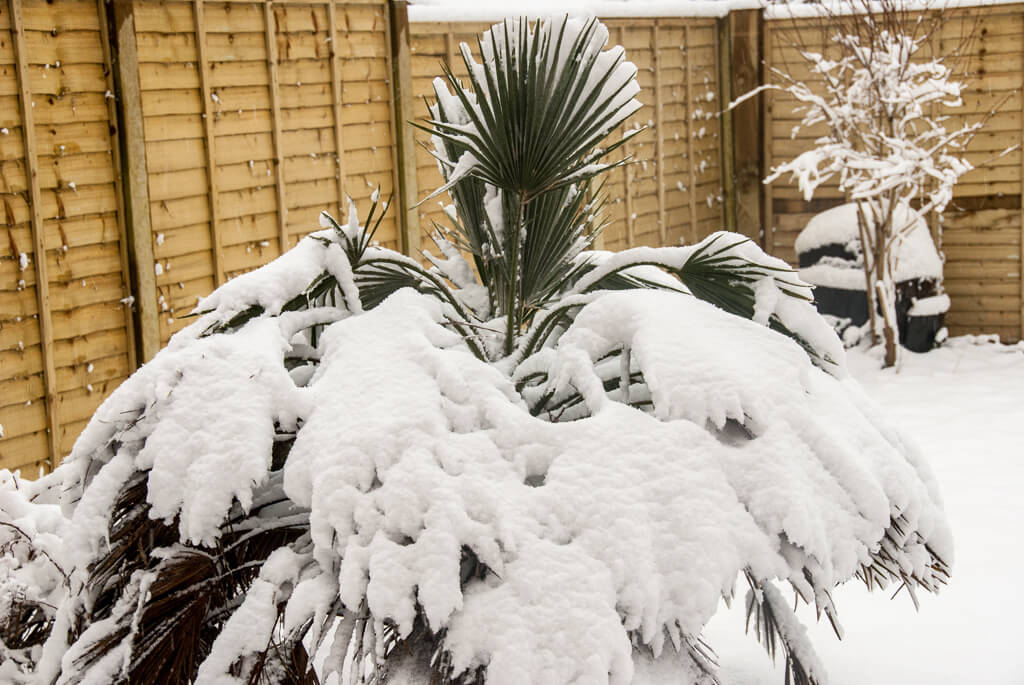 You are currently viewing How To Sort Out Your Garden This Spring