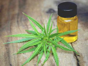 Read more about the article How CBD Is Changing Lives With Its Medicinal Benefits