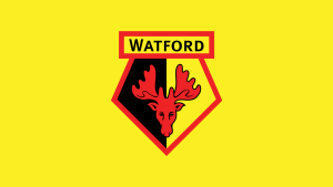 Read more about the article What Is Watford FC Thinking?