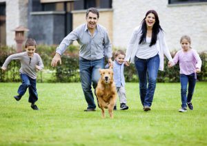Read more about the article Some Ways of Creating Good Behaviour As You Bring Home a New Dog