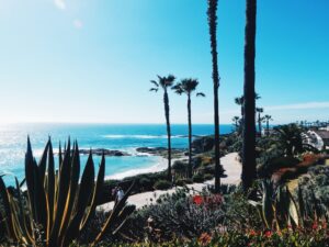 Read more about the article 3 Activities to Try While Visiting California