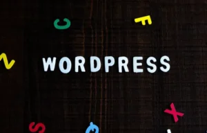 Read more about the article TOP 28 Reasons why WordPress is Good for Website Development