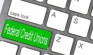 Read more about the article Pros and Cons of Banks and Credit Unions When You’re Ready to Open a New Account