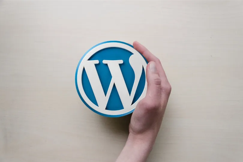 You are currently viewing 5 Skills to Look For in a WordPress Developer