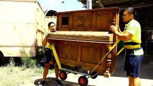 Read more about the article What Can a Removalist Do?