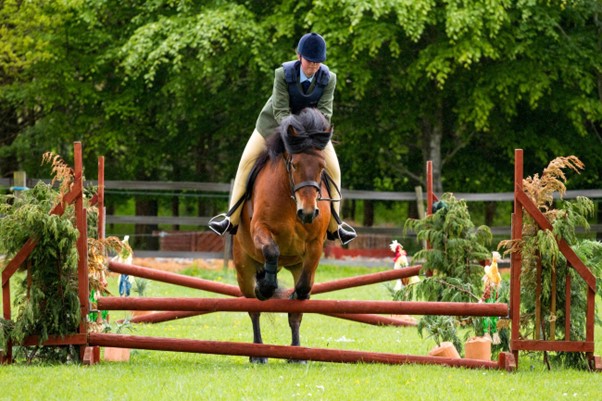 You are currently viewing Understanding Different Types of Jumping Saddles: What to Look For