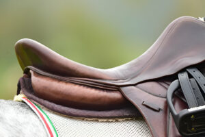 Read more about the article All You Need To Know About Buying Jumping Saddles for Sale