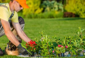 Read more about the article The Role of Landscapers in Creating Sustainable Outdoor Spaces