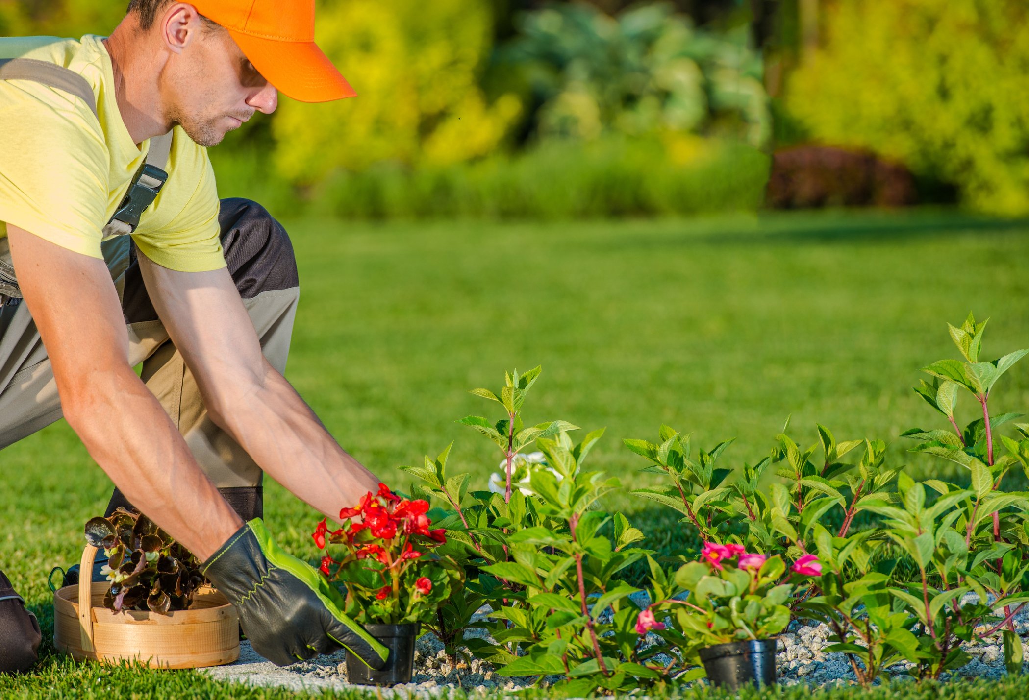 You are currently viewing The Role of Landscapers in Creating Sustainable Outdoor Spaces