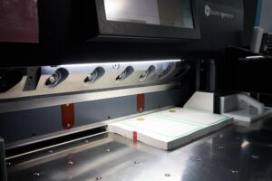 Read more about the article The Future of Identity Solutions: Smart Cards, Biometrics, and Beyond