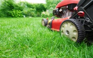 Understanding the Technology Behind Battery Lawn Mowers