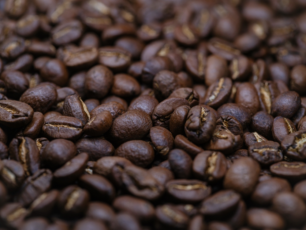 Coffee wholesale suppliers melbourne

